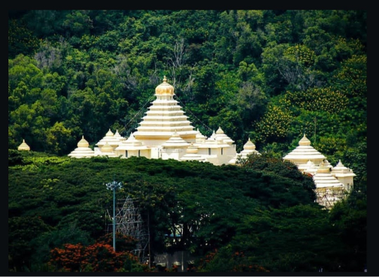 Travels in Tirupathi SV Musuem